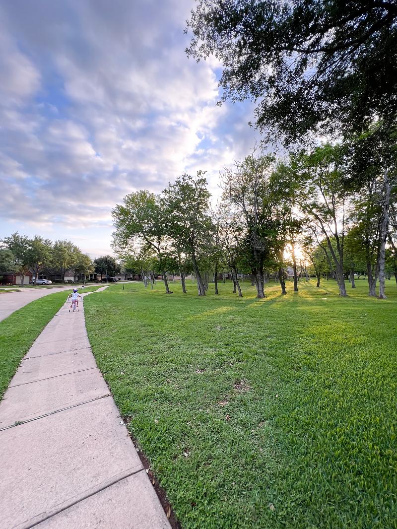 Park Photo by Michelle Wright