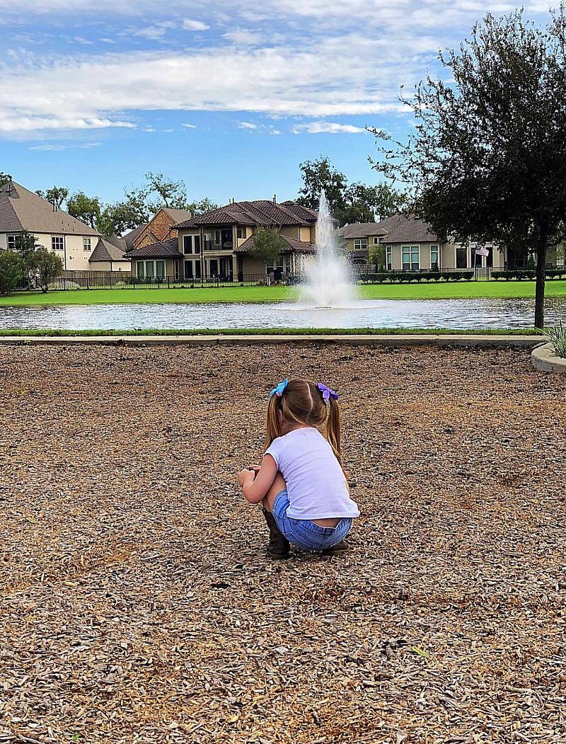 Park Photo by Anne Chapman