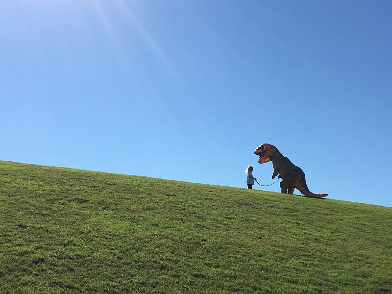 Park Photo by Rebecca Carter