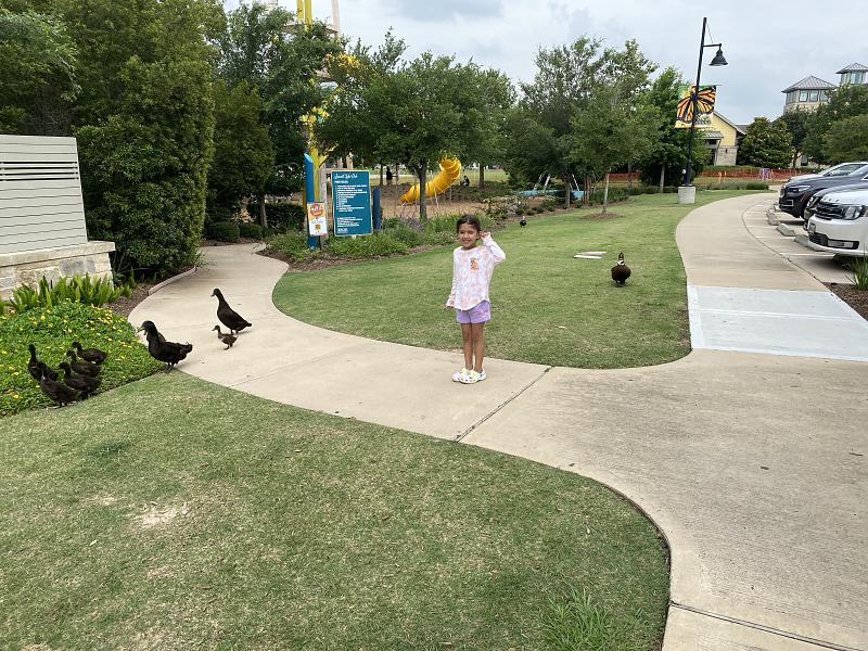 Park Photo by Sara Rehem