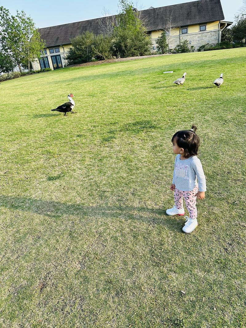 Park Photo by Chandni Pal