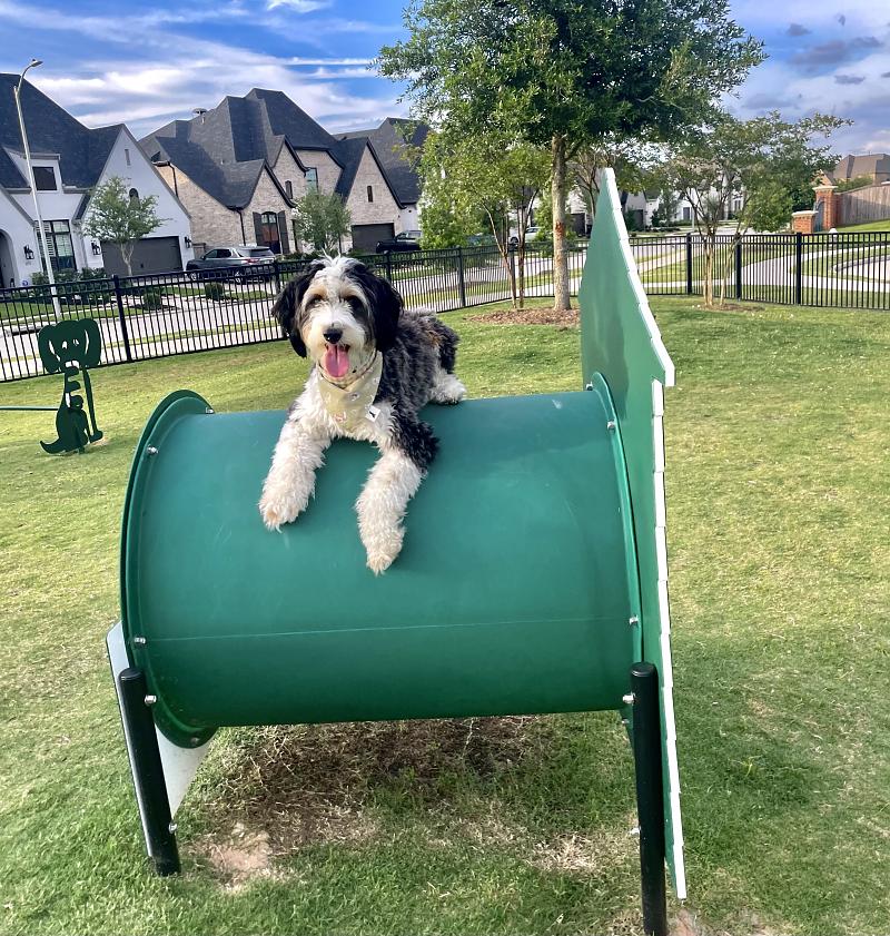 Park Photo by Megan Kasin