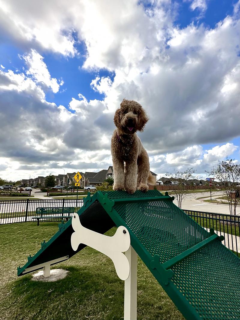 Park Photo by Rashmi Gupta