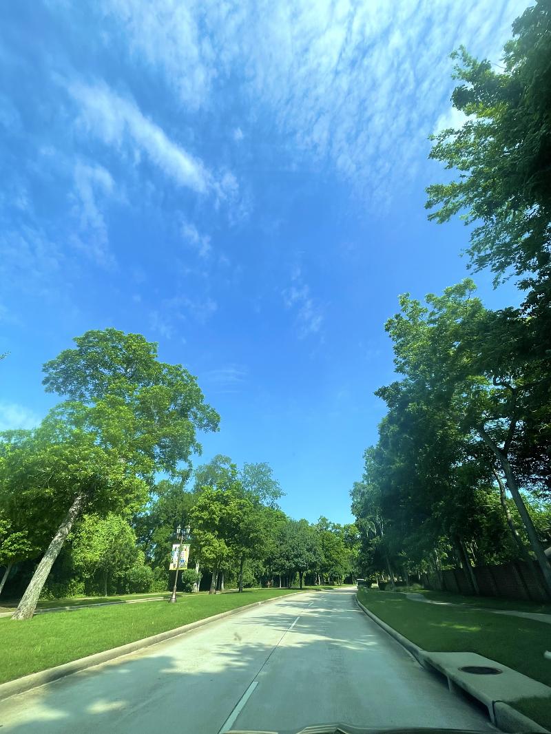 Park Photo by Cindy Cheng