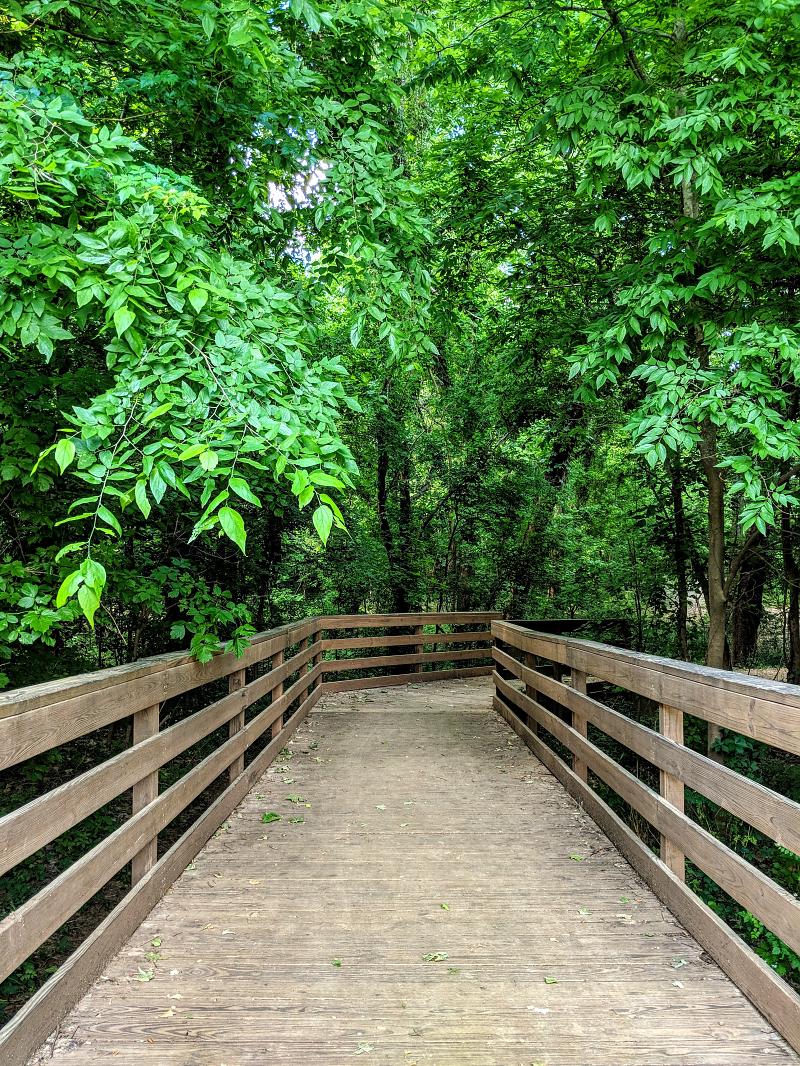 Park Photo by Joseph Callahan