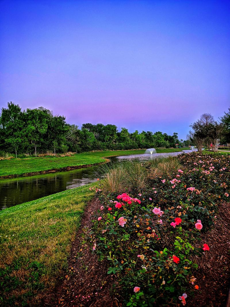 Park Photo by Joseph Callahan