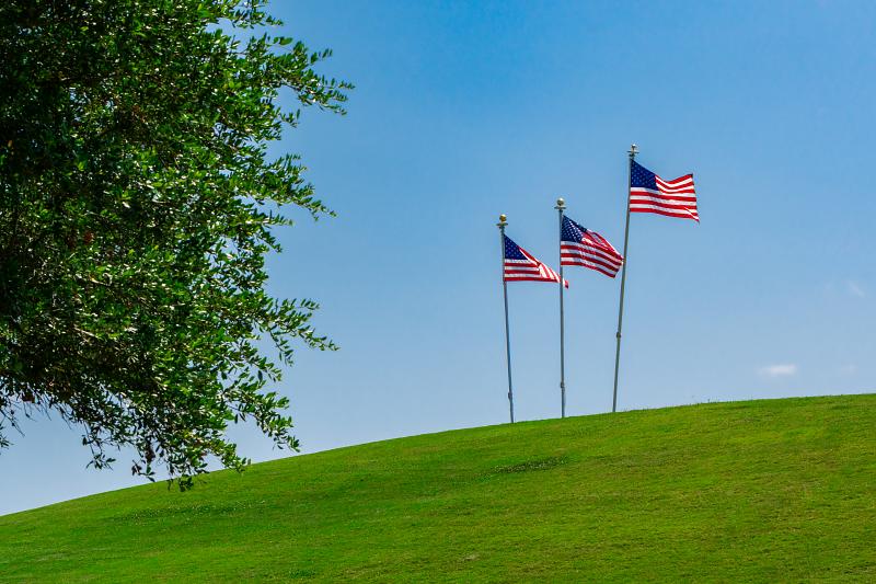 Park Photo by Amanda M Blanton