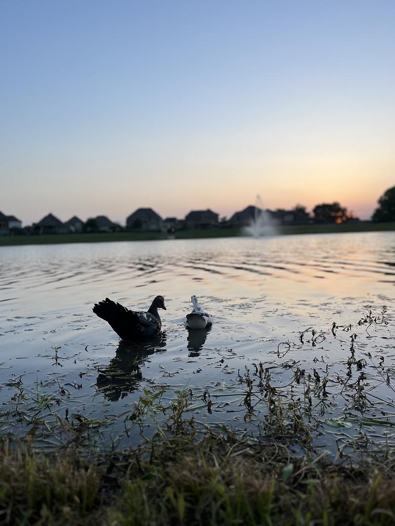 Park Photo by Saleta PATTERSON
