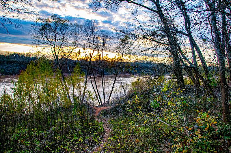 Park Photo by Julius Reckord