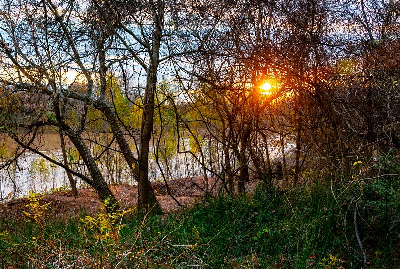 Park Photo by Julius Reckord