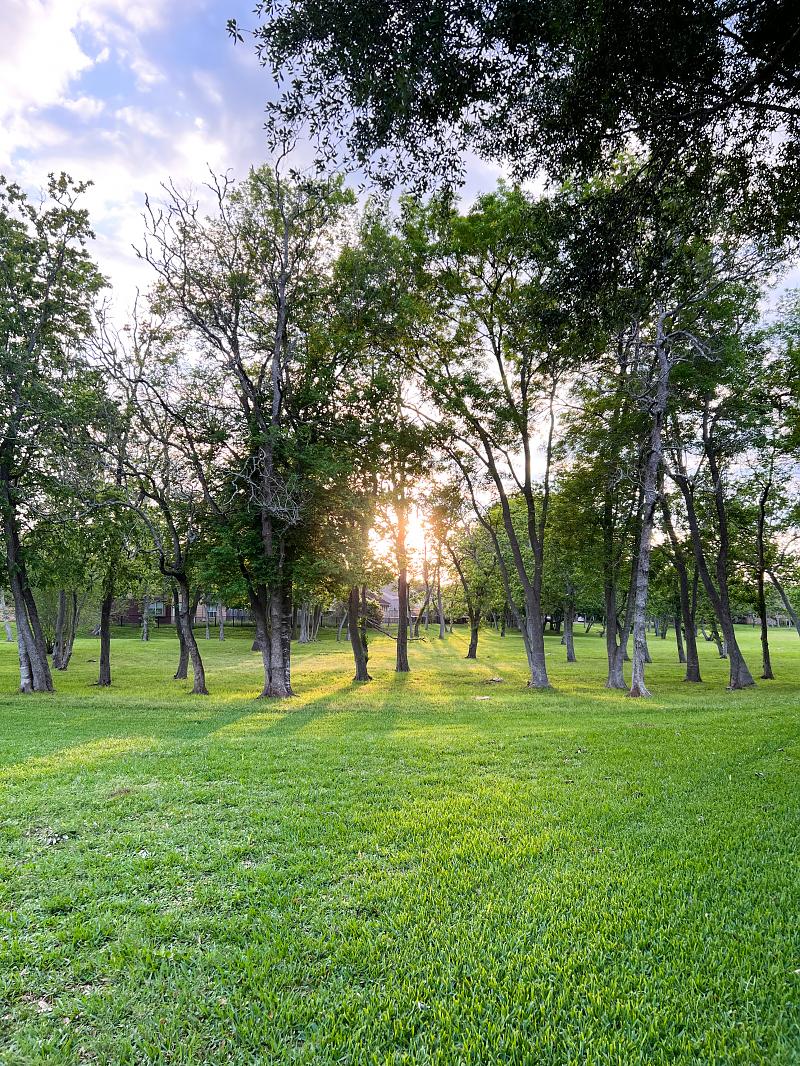 Park Photo by Michelle Wright