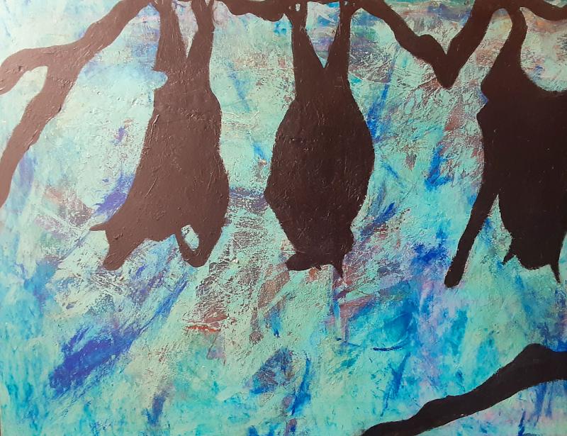 Photo by Sasha  Rapp