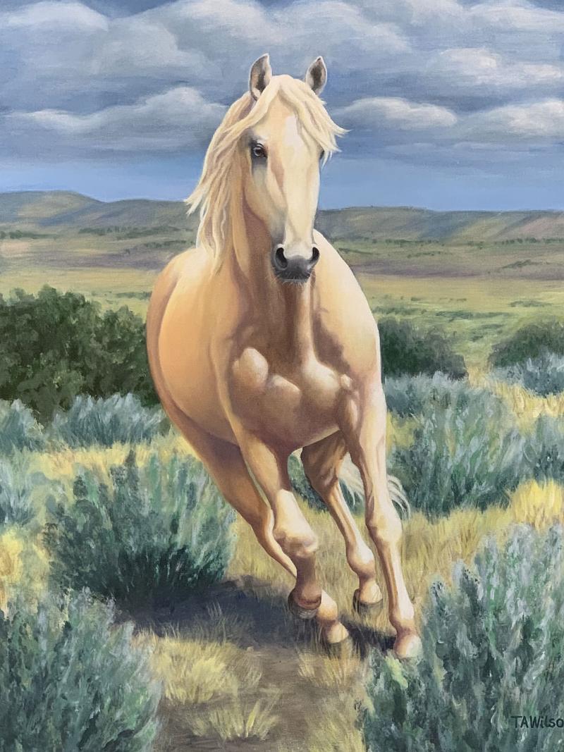 Photo by Theresa  Wilson